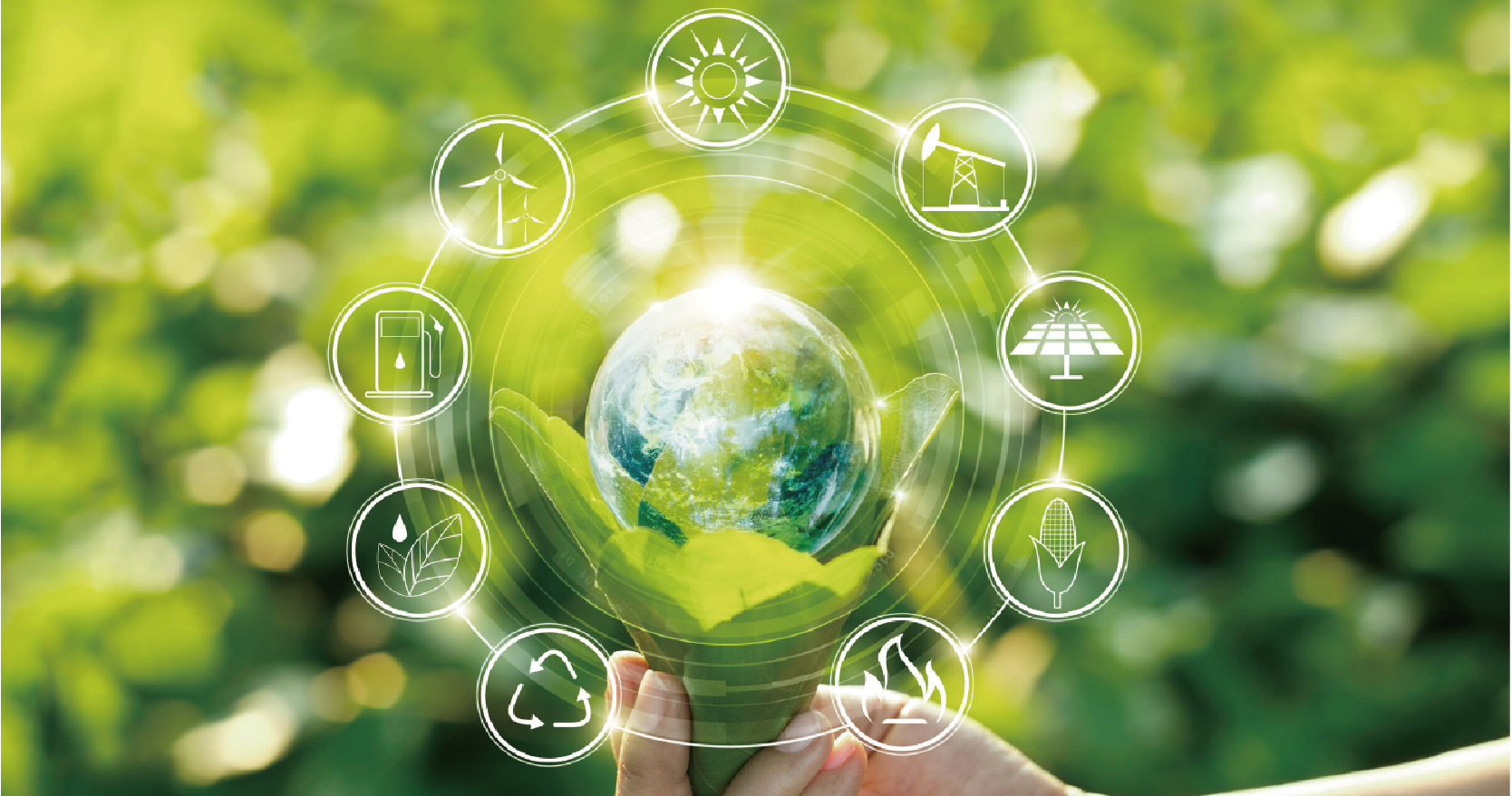 Waste Reduction and Recycling Tip