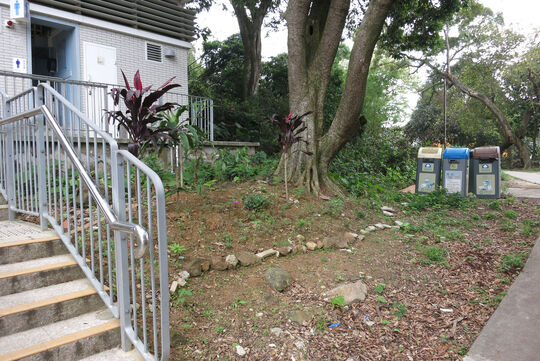 南丫岛大坪公厕前