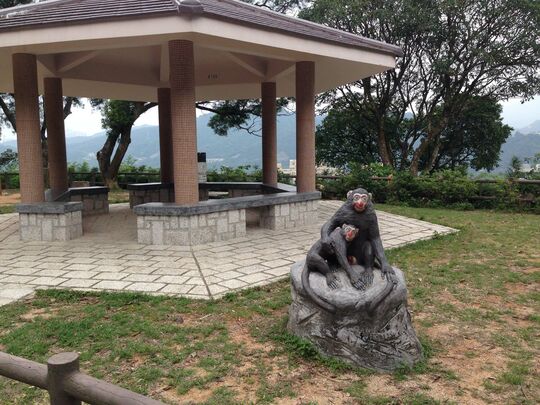 狮子山晨运园地