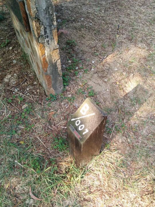 屯门麦理浩径第十段