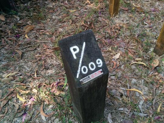 屯门麦理浩径第十段