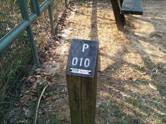 屯门麦理浩径第十段