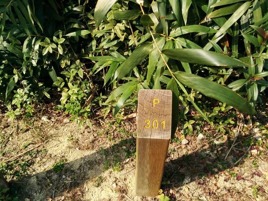 Siu Lam Mountain Bike Trail