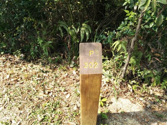 Siu Lam Mountain Bike Trail