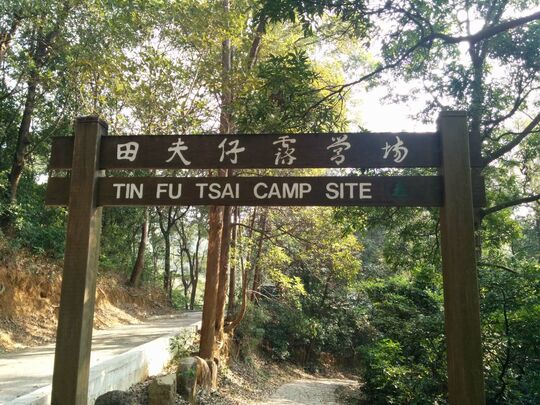 Tai Lam Forest Track (Tin Fu Tsai Section)
