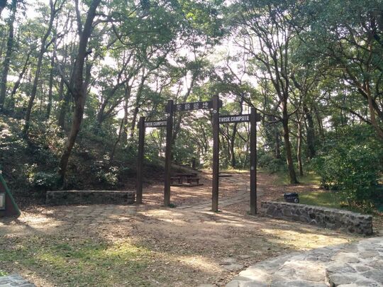 麦理浩径第9段(近荃锦站)