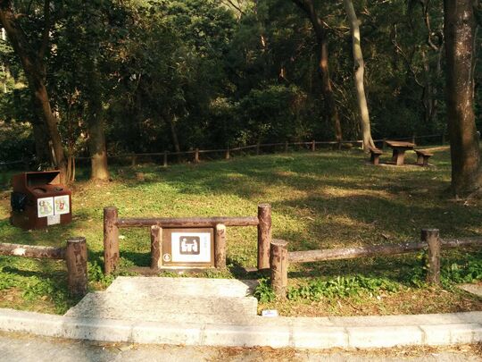 大欖林道田夫仔段