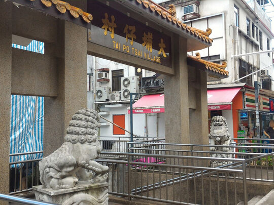 大埔仔村村公所对出