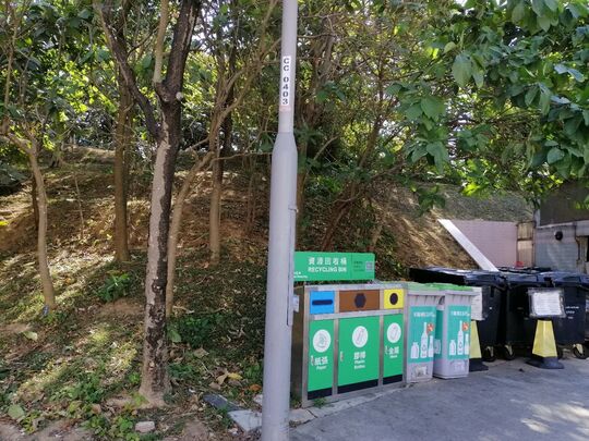 枫树窝村垃圾收集站，青衣清誉街