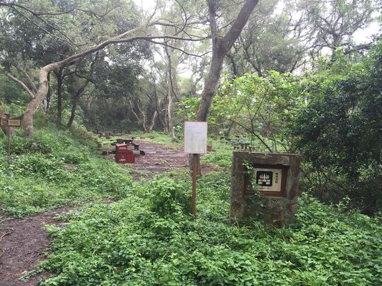 平洲奶头烧烤用地及露营用地回收点1