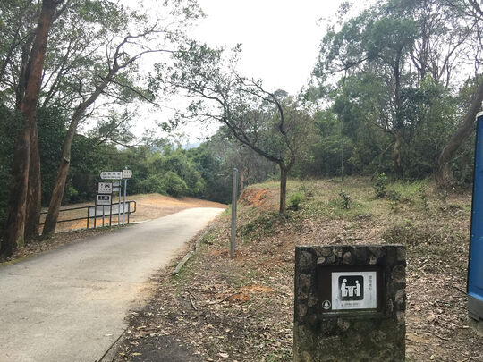 大榄林道清快塘段