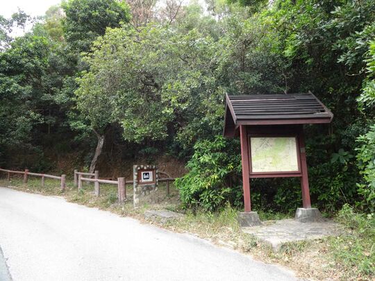 九龙扎山道