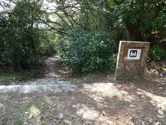 大网仔路, 海边场