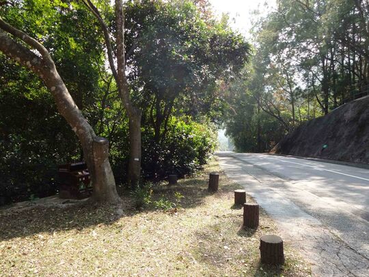 海下路(嶂上郊遊徑入口對面場地)