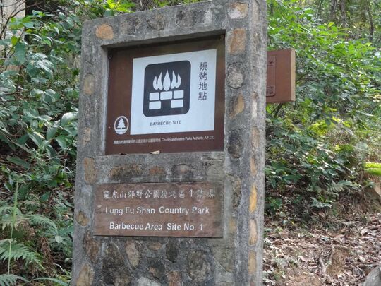 克頓道松林廢堡