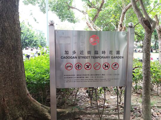 加多近街臨時花園