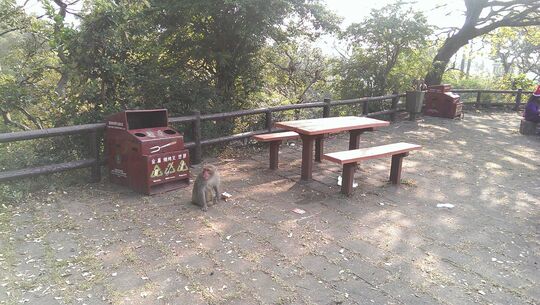 长源路烧烤场 - 石梨背水塘烧烤区1号场