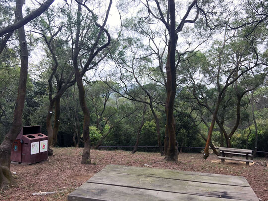 Tai Lam Forest Track ( Sham Tseng Section)