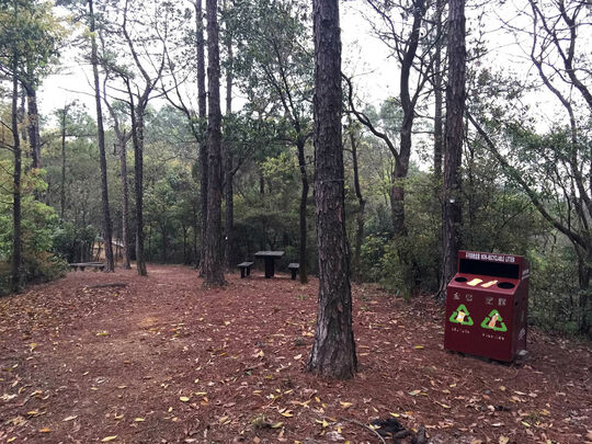 大榄林道深井段