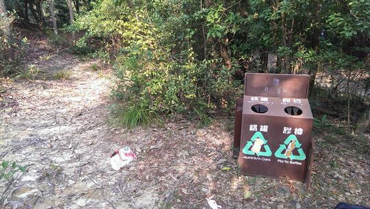 金山树木硏习径郊游场