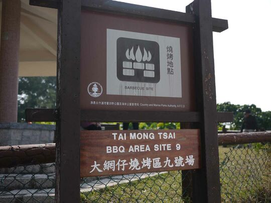 大网仔路(近早禾坑)