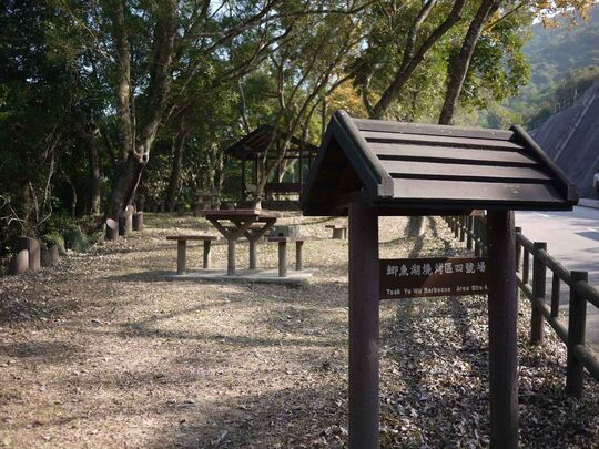 大网仔路(近鲫鱼湖)