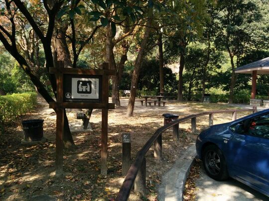 大榄林道深井段