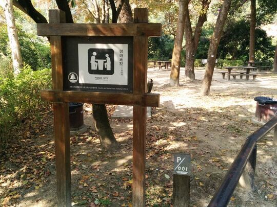 大榄林道深井段