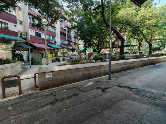 元朗炮仗坊（近保定楼对出空地）