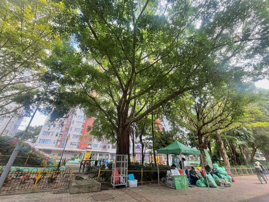 上水马会道近天平村天祥楼对出行人路