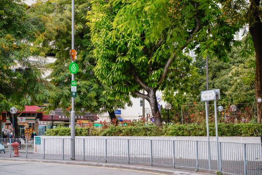 九龙湾启仁街（近丽晶花园）对出行人路