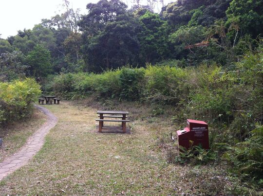 城门水塘 城门郊游地点4
