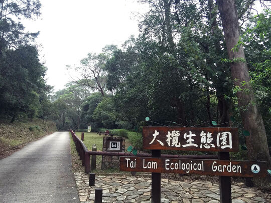 大榄林道深井段 郊游地点5